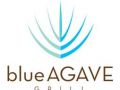Blue Agave